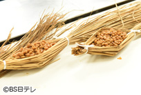 茨城・水戸　納豆～ネバネバ美味しい！梅の郷の健康食～