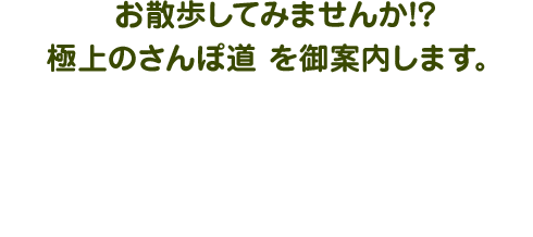 お散歩してみませんか！？極上のさんぽ道 を御案内します
無理なく・ゆっくり楽しんで歩ける『2時間のおさんぽコース』御案内します