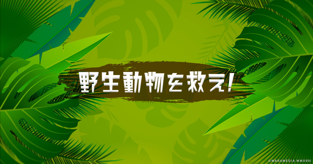 野生動物をもとめて: テレビ取材班とともに AR-channel-1.png
