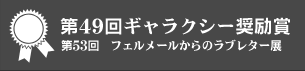 第49回ギャラクシー奨励賞　第53回 フェルメールからのラブレター展