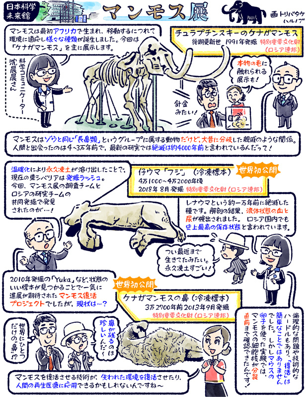 314 夏休みに行きたい！東京湾岸で生き物スペシャル～葛西臨海水族園と