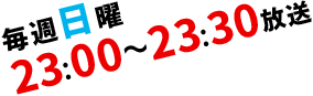 毎週日曜23：00～23：30放送