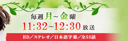 毎週月～金曜11:32～12:30放送　HD／ステレオ／日本語字幕／全53話