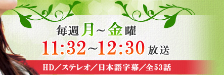 毎週月～金曜11:32～12:30放送　HD／ステレオ／日本語字幕／全53話