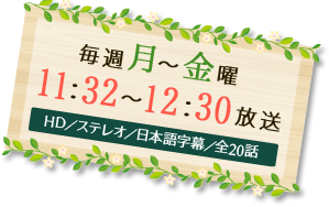 毎週月～金曜11：32～12：30放送　HD／ステレオ／日本語字幕／全20話