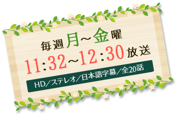 毎週月～金曜11：32～12：30放送　HD／ステレオ／日本語字幕／全20話
