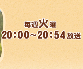 毎毎週火曜 20：00～20：54 放送