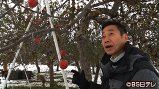 青森県つがる市の旅