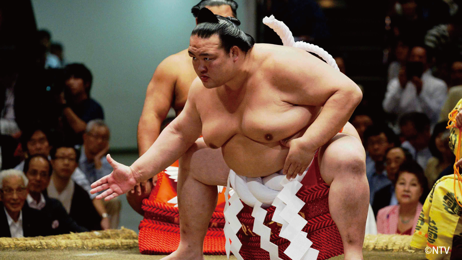 稀勢の里解説 – 稀勢の里 女将 – VBSAL