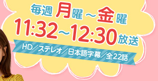 毎週月～金曜11：32～12：30放送　HD／ステレオ／日本語字幕／全22話