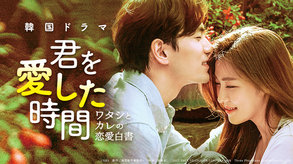 韓国ドラマ「君を愛した時間 ワタシとカレの恋愛白書」