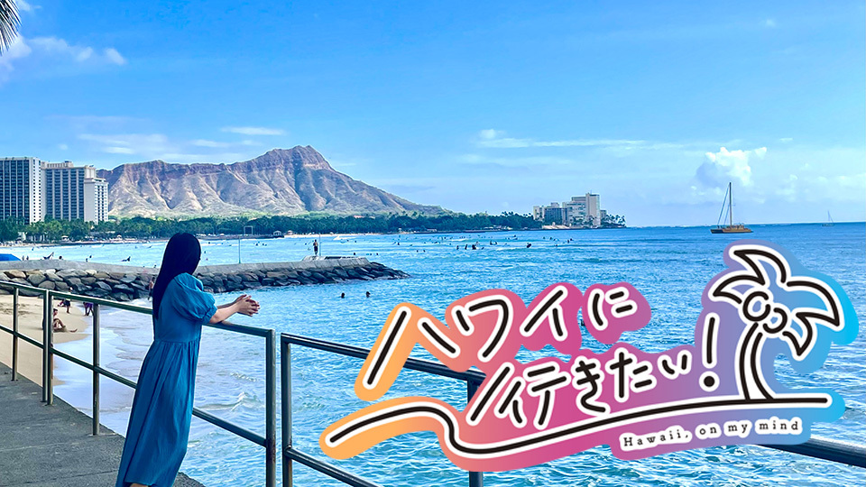 新・ハワイ番組「ハワイに行きたい！」 1月3日よる9時放送！｜BS日テレ