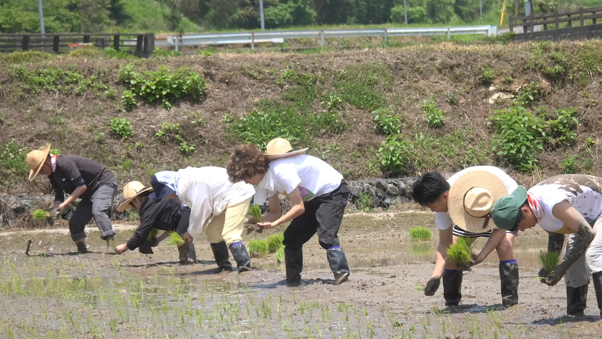 なおみ農園