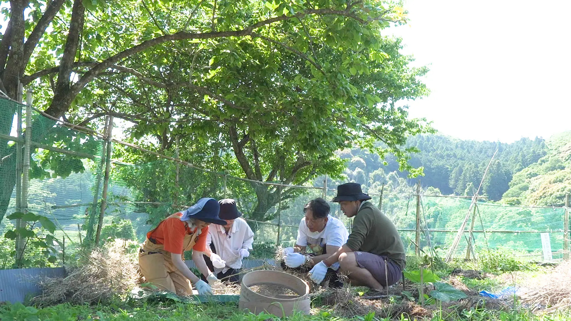 なおみ農園