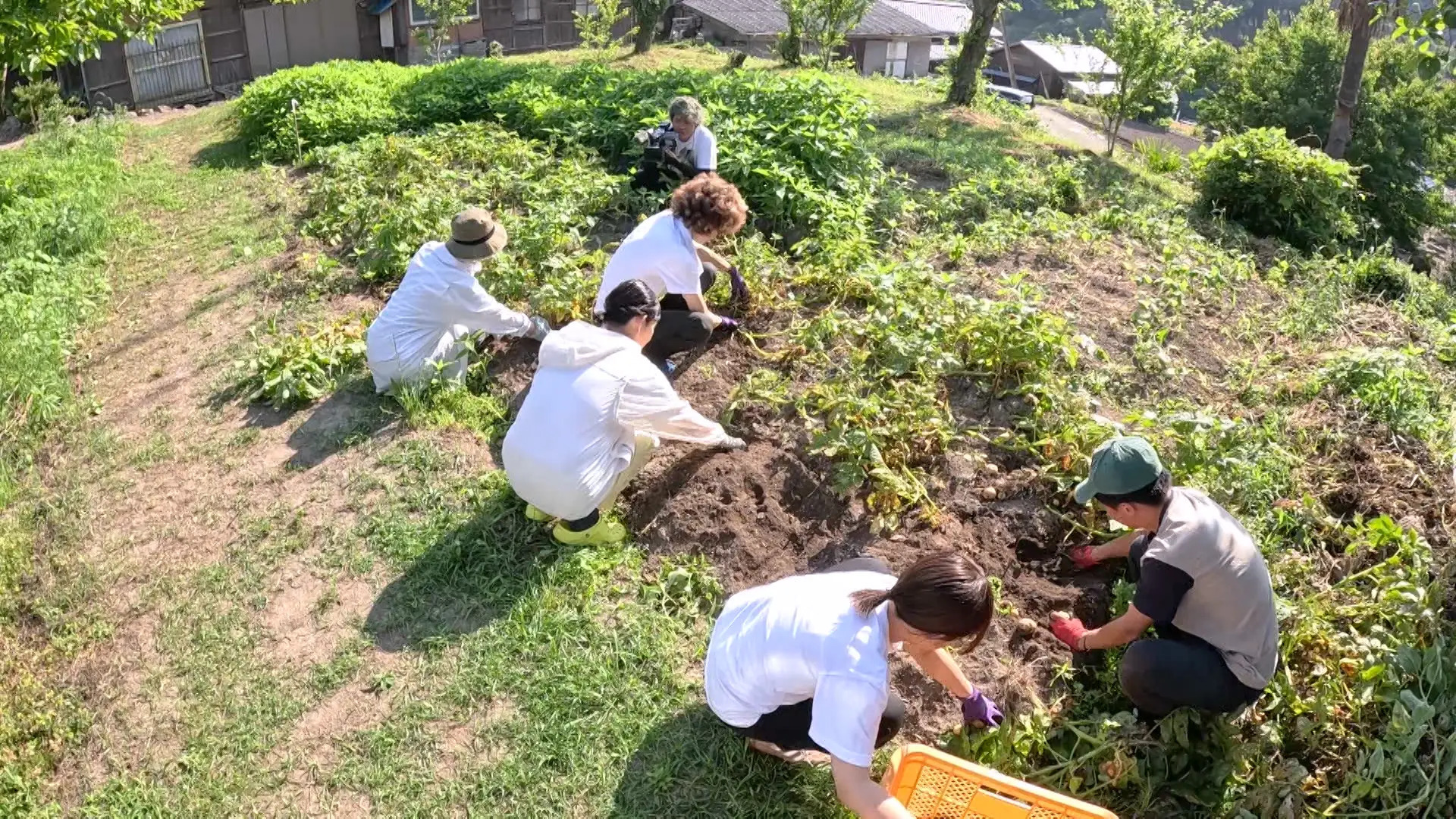 なおみ農園