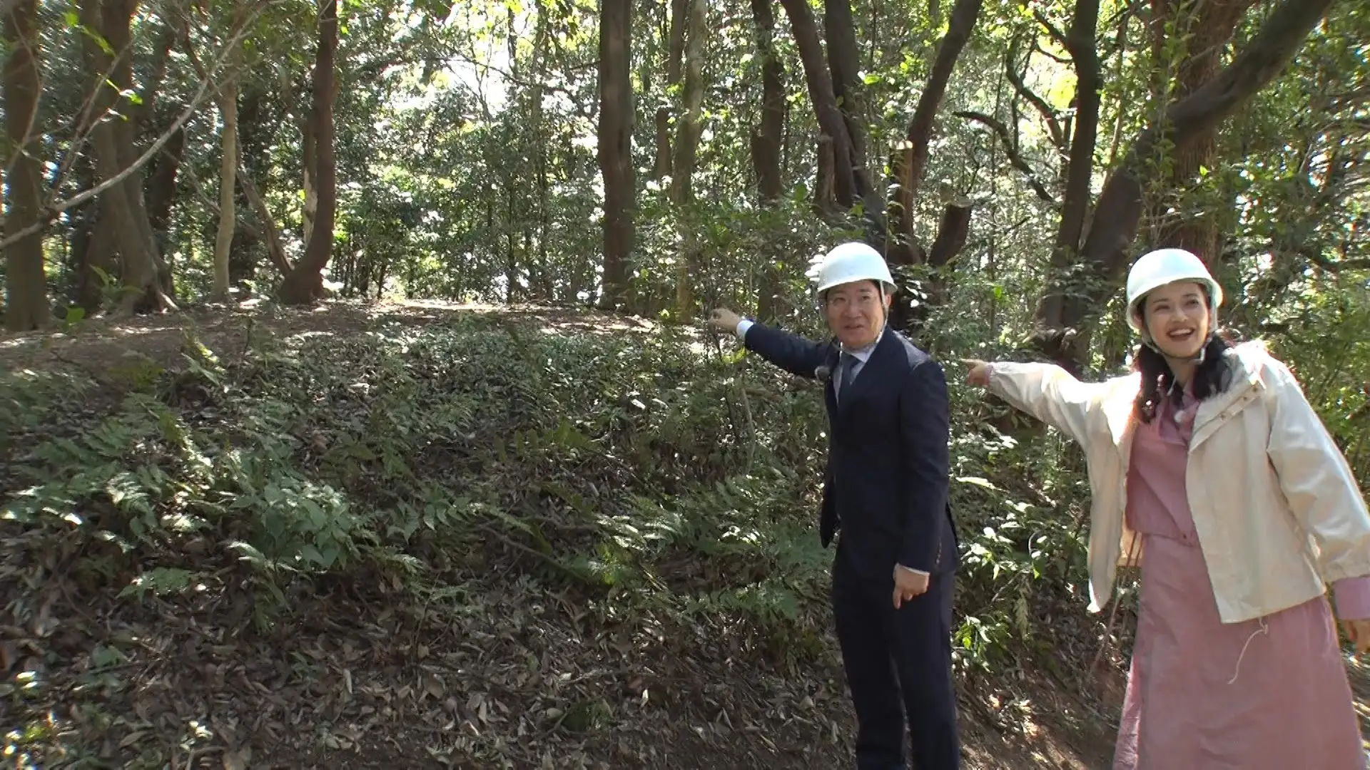 磯田道史の歴史をゆく