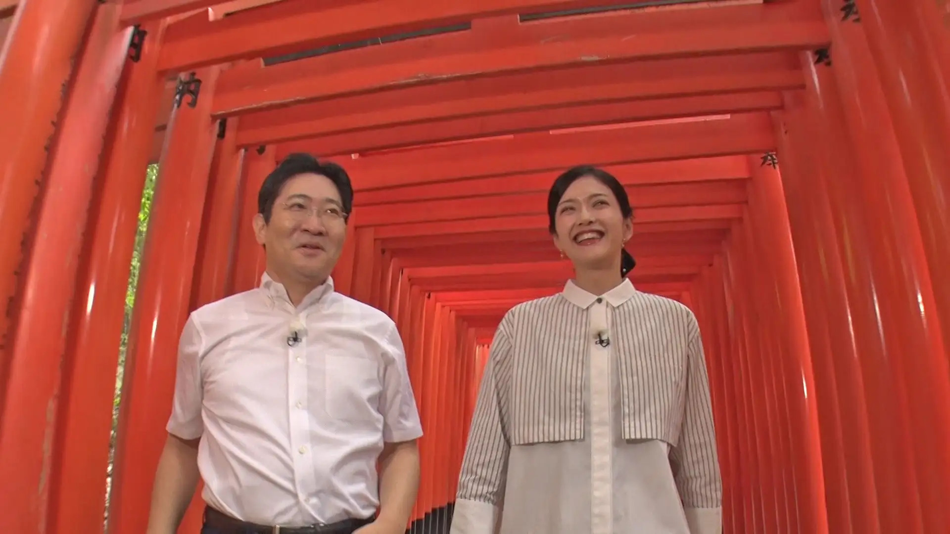磯田道史の歴史をゆく