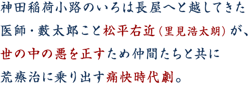 神田稲荷小路のいろは長屋へと越してきた医師・藪太郎こと松平右近（里見浩太朗）が、世の中の悪を正すため仲間たちと共に荒療治に乗り出す痛快時代劇。