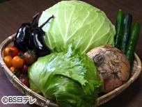 軽井沢・高原野菜～野菜が主役！涼しい高原の朝露が育む美味～