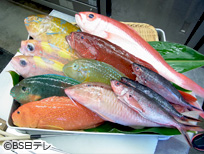 沖縄 島やさいと糸満のお魚～南国の太陽と海のごちそう！～
