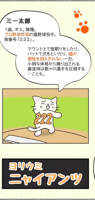 ミー太郎　１歳。オス。雑種。プロ野球界初の猫野球投手。背番号「２２２」。マウンド上で居眠りをしたり、バッドで爪をといだり、猫の習性を抑えきれない一方、小柄な体格から繰り出される豪速球は数々の選手を圧倒する…ことも。　ヨリウミ　ニャイアンツ