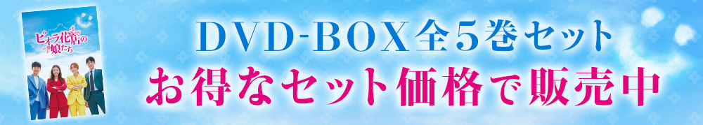 DVD-BOX全5巻セット　お得なセット価格で販売中