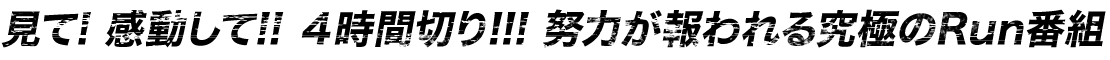 見て! 感動して!! 4時間切り!!! 努力が報われる究極のRun番組