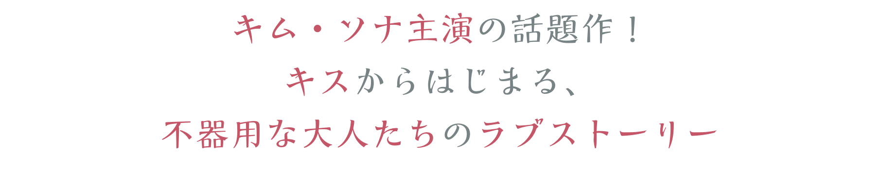 キム・ソナ主演の話題作！ キスからはじまる、 不器用な大人たちのラブストーリー