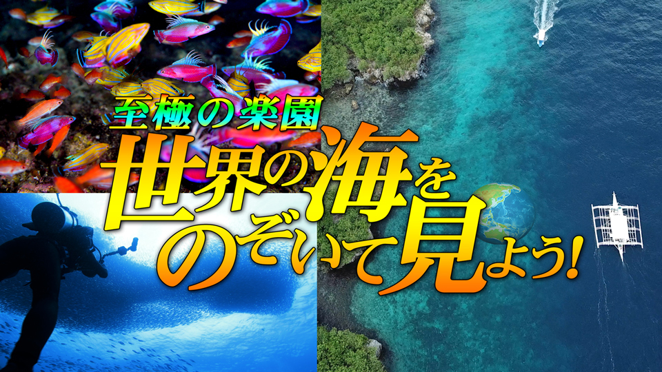 至極の楽園 世界の海をのぞいて見よう！｜BS日テレ