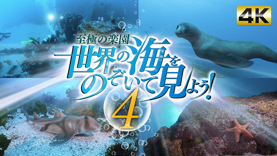 至極の楽園 世界の海をのぞいて見よう 4 bs日テレ 至極の楽園 世界の海をのぞいて見よう 4 bs日テレ