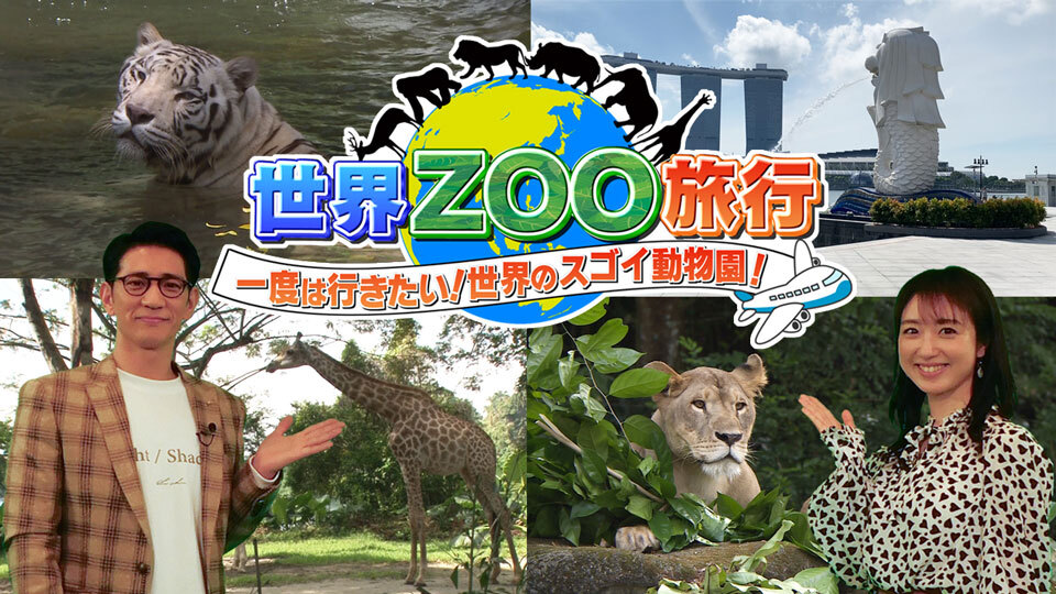 世界zoo旅行 一度は行きたい 世界のスゴイ動物園 アンコール放送 ｂｓ日テレ