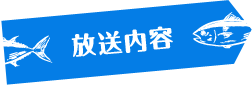 放送内容