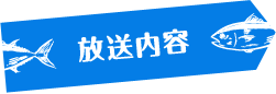 放送内容