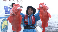 千葉・片貝沖 深海の高級魚アコウダイ　ゲスト：武蔵、神田愛花